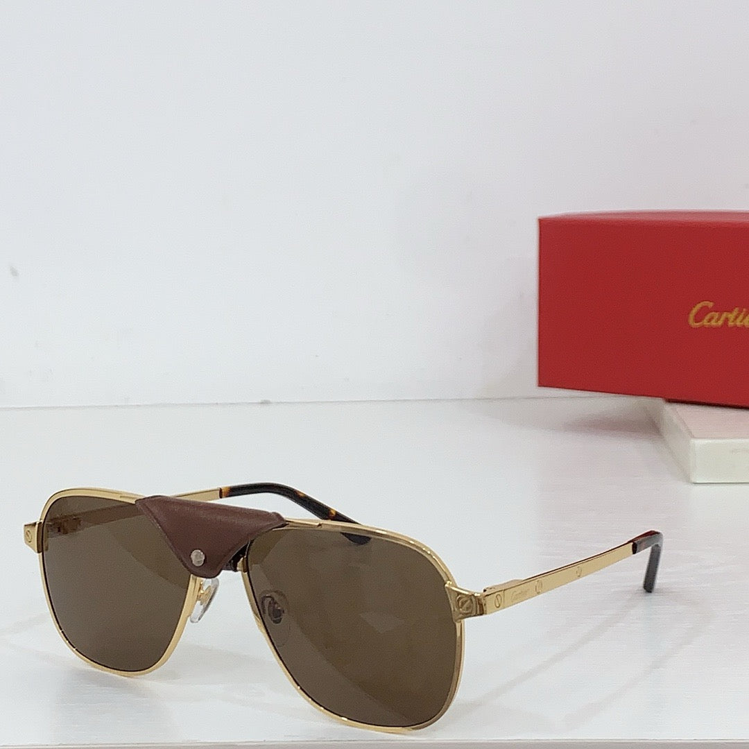 Cartier PREMIÈRE DE CARTIER CT0165S Sunglasses 🐆  $2750