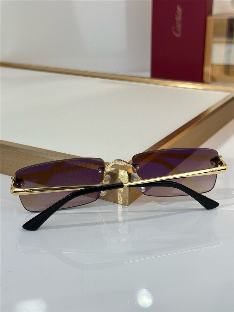 - Cartier CT0598S 001 Première de Cartier Rectangle Shape Sunglasses NEW 🐆 - onlinechics.com