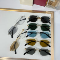 Cartier CT0616S Sunglasses&Photochromic Glasses 🐆