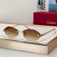 Cartier PREMIÈRE DE CARTIER CT0637O Glasses 🐆