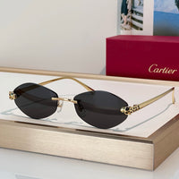 Cartier PREMIÈRE DE CARTIER CT0637O Glasses 🐆