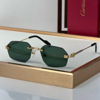 Cartier CT0616S Sunglasses&Photochromic Glasses 🐆