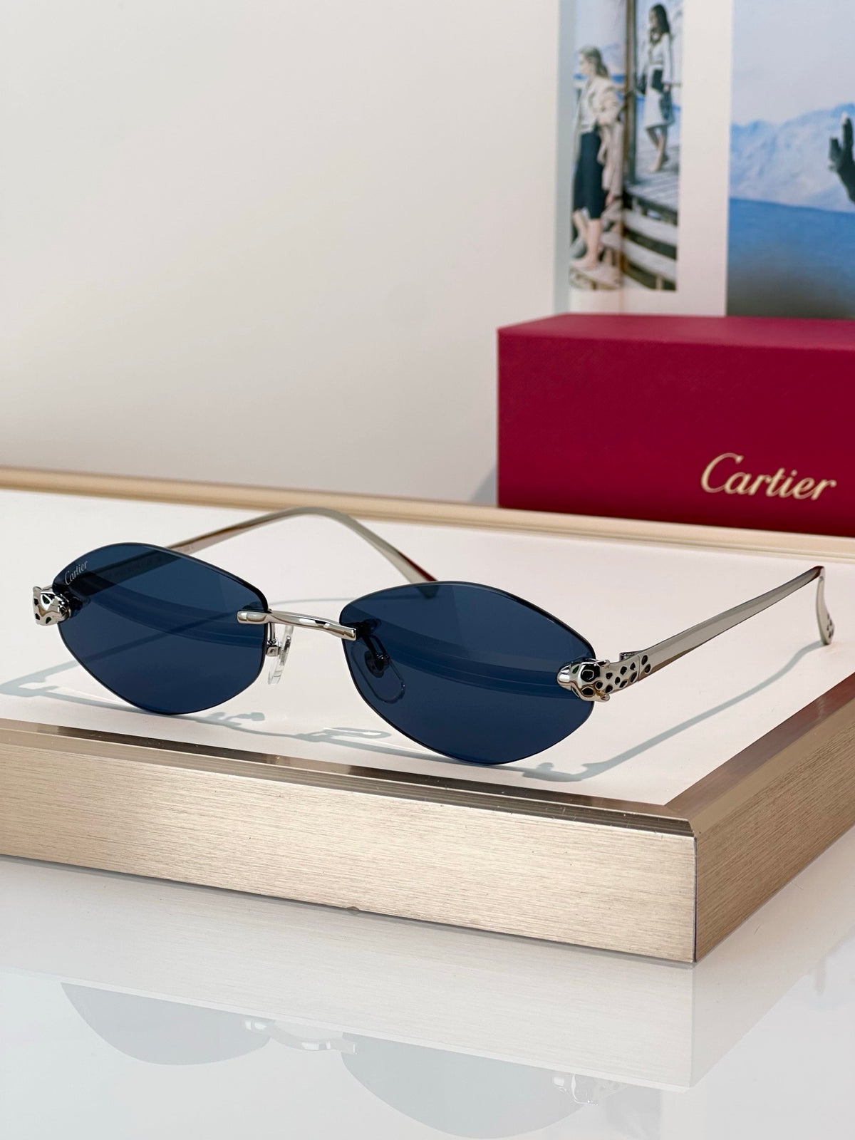 Cartier PREMIÈRE DE CARTIER CT0637O Glasses 🐆