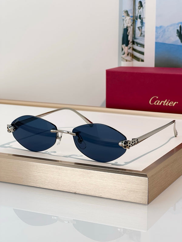 Cartier PREMIÈRE DE CARTIER CT0637O Glasses 🐆