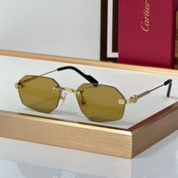 Cartier CT0616S Sunglasses&Photochromic Glasses 🐆