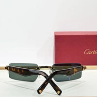 Cartier CT0537S 001 Sunglasses 🐆