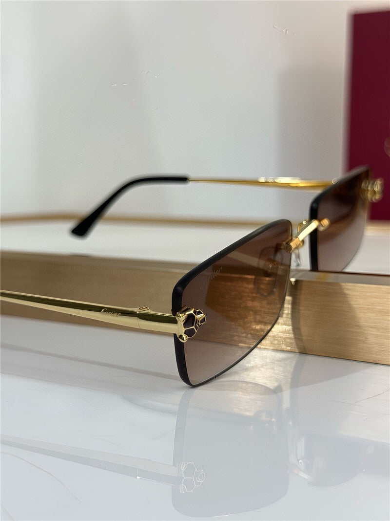 - Cartier CT0598S 001 Première de Cartier Rectangle Shape Sunglasses NEW 🐆 - onlinechics.com