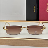 Cartier PREMIÈRE DE CARTIER CT0647 Sunglasses 🐆 $41K