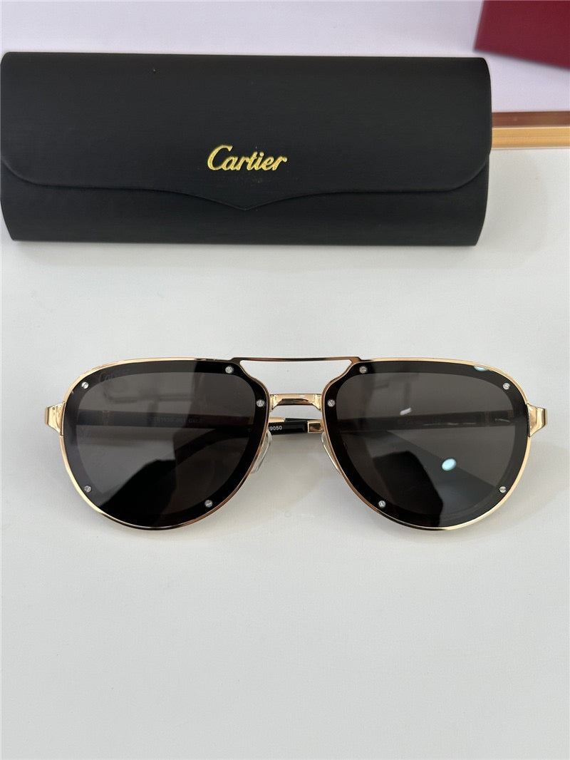 Cartier PREMIÈRE DE CARTIER CT0195S Sunglasses 🐆