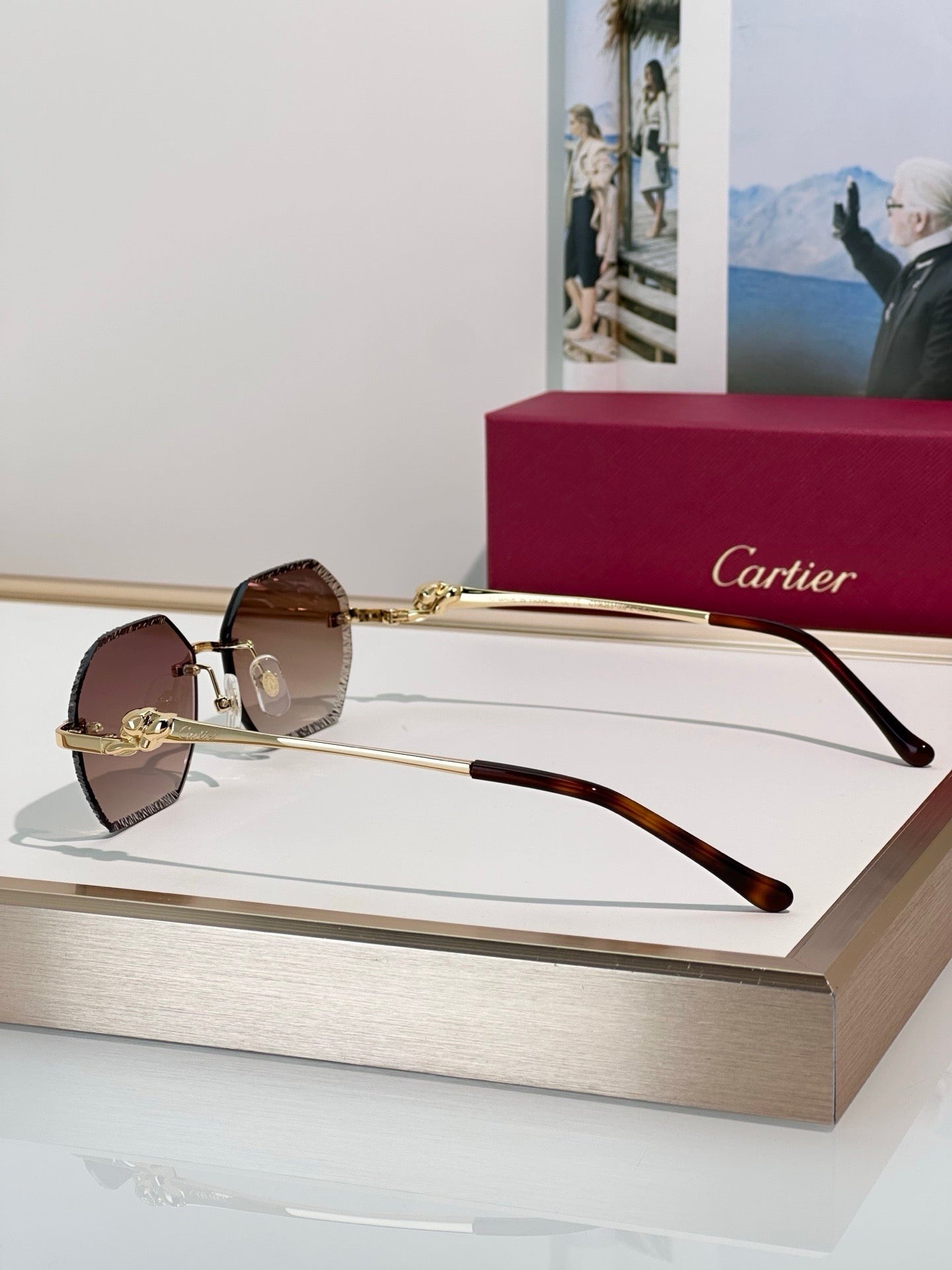 Cartier CLASSIC C DE CARTIER MOTIF Panthere CT0828 S Sunglasses 🐆 - onlinechics.com