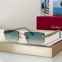 Cartier PREMIÈRE DE CARTIER CT0579S 001  Sunglasses &Photochromic Glasses 🐆