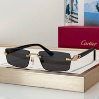 Cartier PREMIÈRE DE CARTIER CT0579S 001  Sunglasses &Photochromic Glasses 🐆