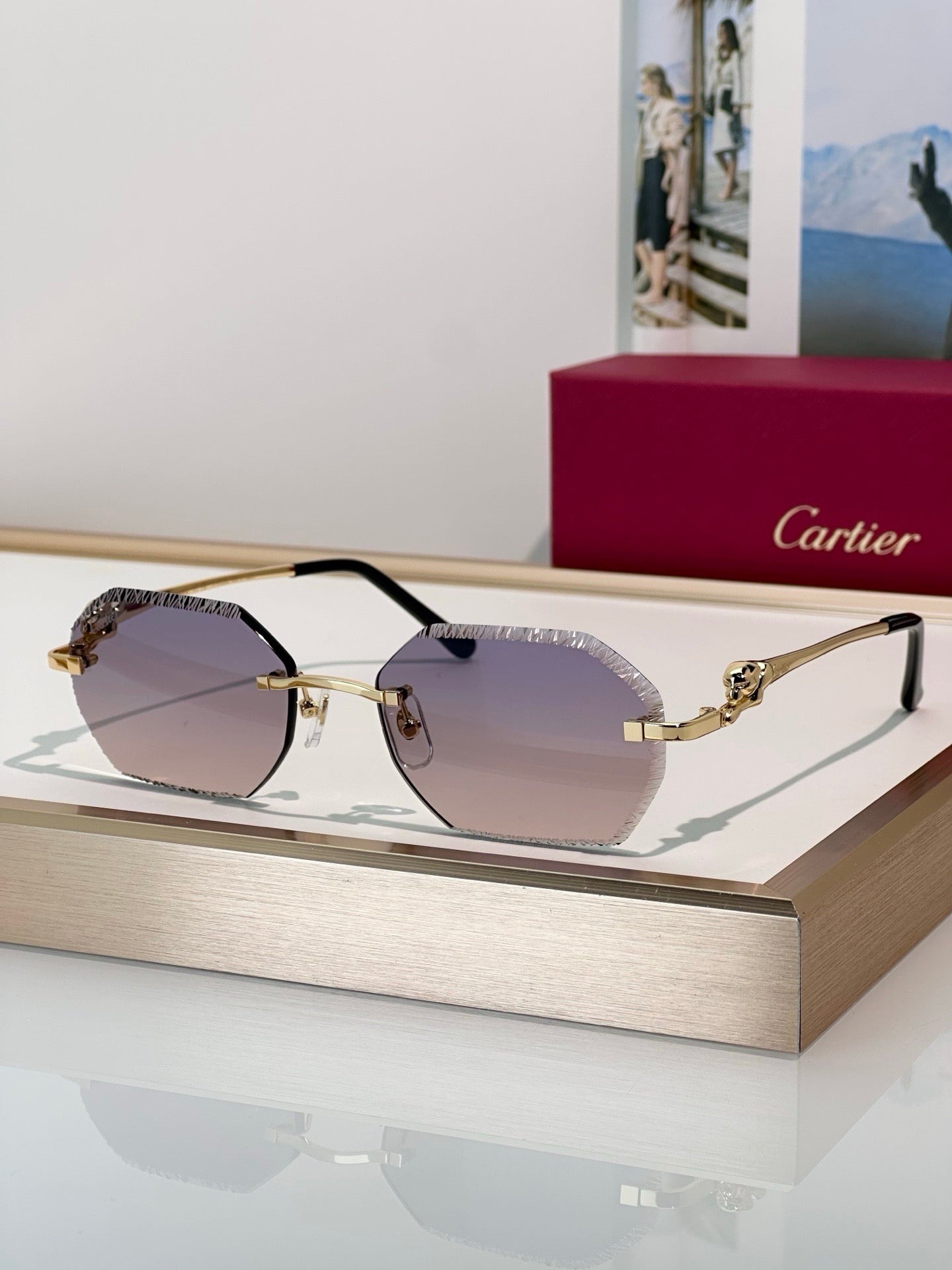 Cartier CLASSIC C DE CARTIER MOTIF Panthere CT0828 S Sunglasses 🐆 - onlinechics.com