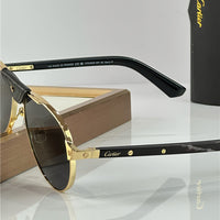 Cartier PREMIÈRE DE CARTIER CT0495S Sunglasses 🐆
