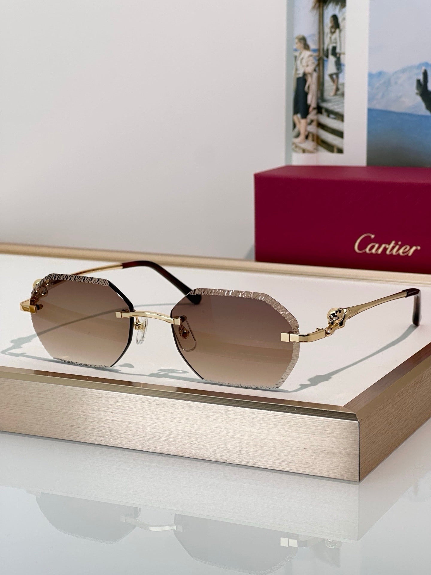 Cartier CLASSIC C DE CARTIER MOTIF Panthere CT0828 S Sunglasses 🐆 - onlinechics.com