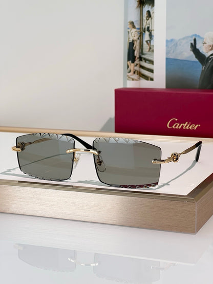 Cartier CLASSIC C DE CARTIER MOTIF CT0916 Sunglasses 🐆 - onlinechics.com