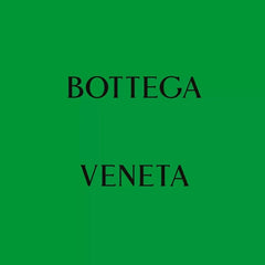 Bottega Veneta Medium Andiamo leather bag 💚