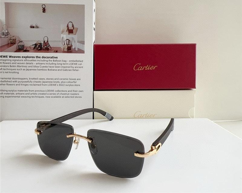 Cartier PREMIÈRE DE CARTIER CT0040RS  Sunglasses 🐆 $2300