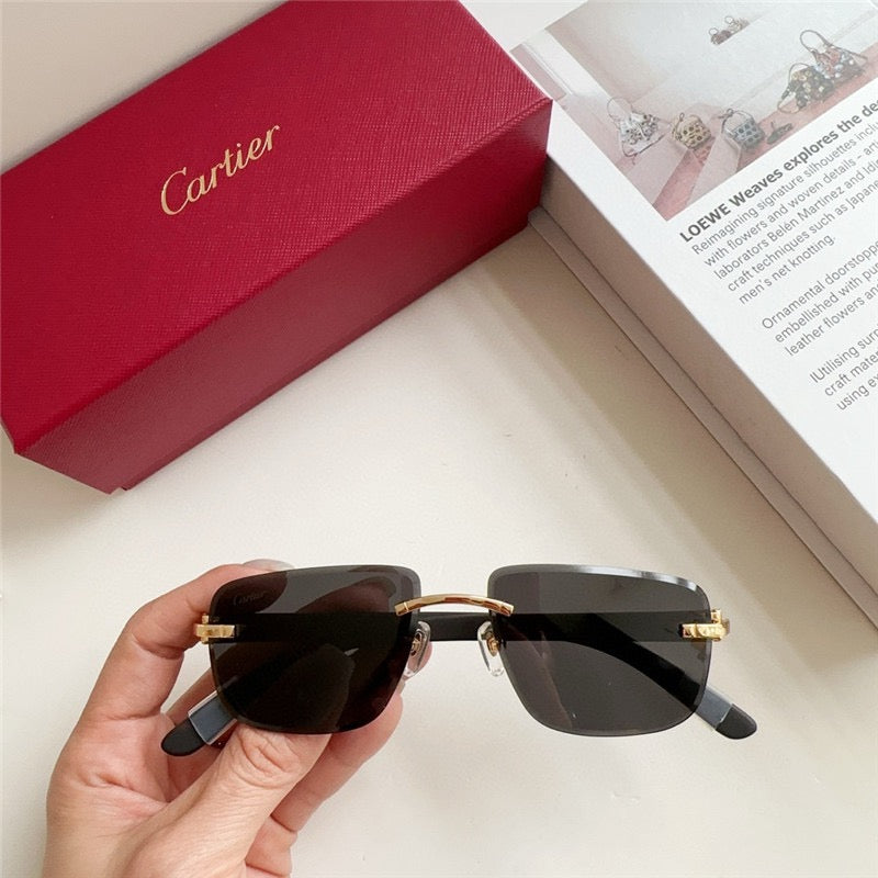 Cartier PREMIÈRE DE CARTIER CT0040RS  Sunglasses 🐆 $2300