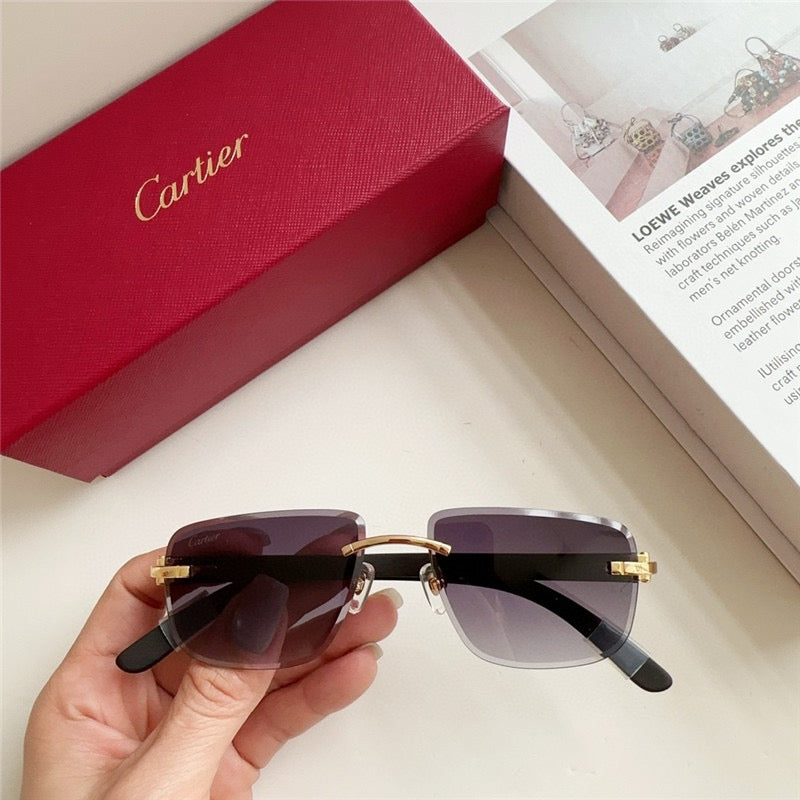 Cartier PREMIÈRE DE CARTIER CT0040RS  Sunglasses 🐆 $2300