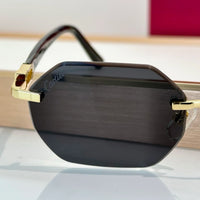 Cartier CT0439S Unisex Sunglasses & Eyeglasses $3495 ✨