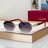 Cartier CT0439S Unisex Sunglasses & Eyeglasses $3495 ✨
