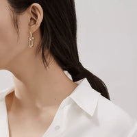 Tiffany&Co 18k Gold Plated 12 models Long Earrings Chain Link Diamond luxury Designer Jewelry for Women's Lock graduated Pavé Diamonds ✨