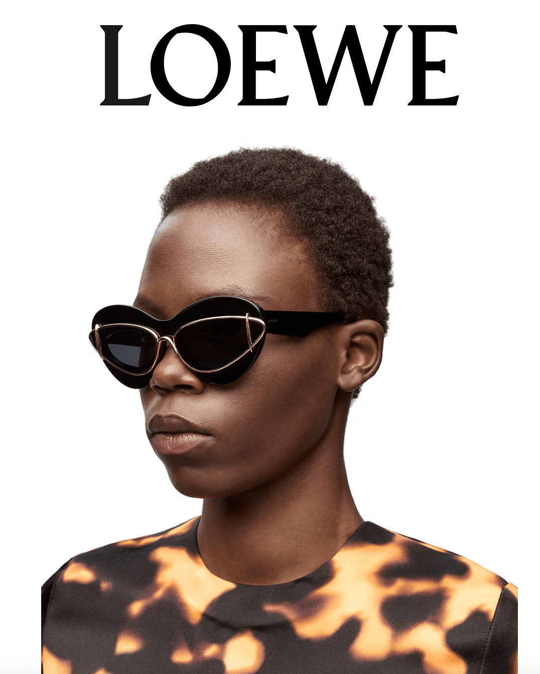 2024 New Season LOEWE Cateye double frame sunglasses in acetate and metal✨ - buyonlinebehappy