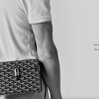 Goyard Cassette Trunk Strap Bag - 11 Available Colors ✨
