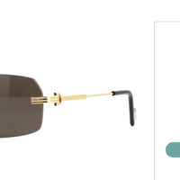 Cartier CT0271 S Unisex Sunglasses 🐆 - NEW $1600 retail price