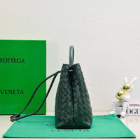 Bottega Veneta Medium Andiamo leather bag 💚