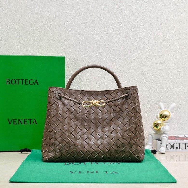 Bottega Veneta Medium Andiamo leather bag 💚
