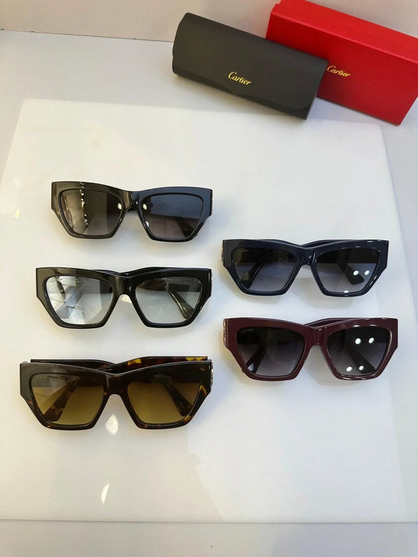 Cartier Acetate frame Women's Sunglasses CT0435S-003  🐆