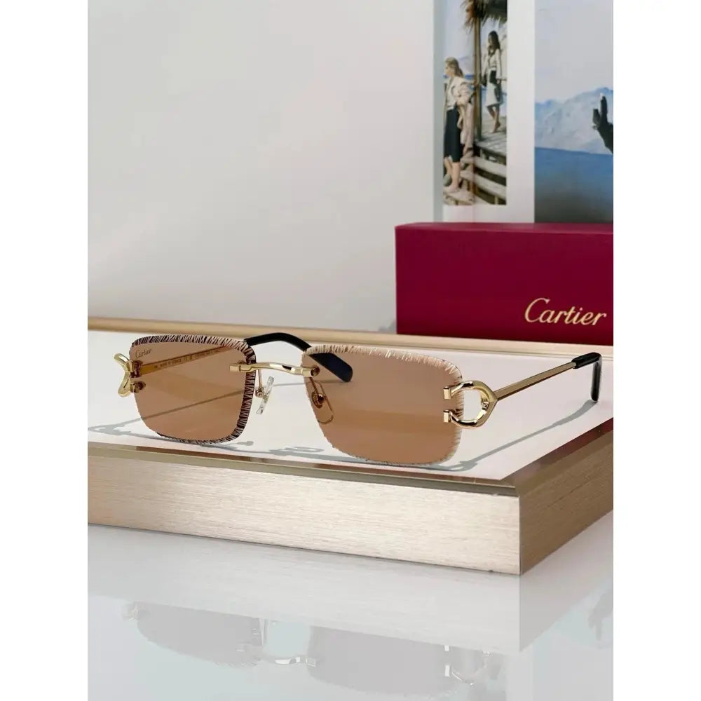 Cartier CLASSIC C DE CARTIER MOTIF CT0799 Sunglasses-Photochromic Glasses 🐆