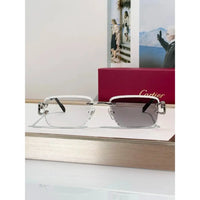 Cartier CLASSIC C DE CARTIER MOTIF CT0799 Sunglasses-Photochromic Glasses 🐆