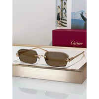 Cartier CLASSIC C DE CARTIER MOTIF Panthere CT0815 Sunglasses 🐆