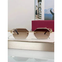 Cartier CLASSIC C DE CARTIER MOTIF Panthere CT0828 S Sunglasses 🐆