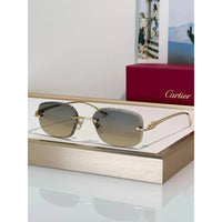 Cartier CLASSIC C DE  Motif Photochromic - Panthere CT0832 Sunglasses 🐆