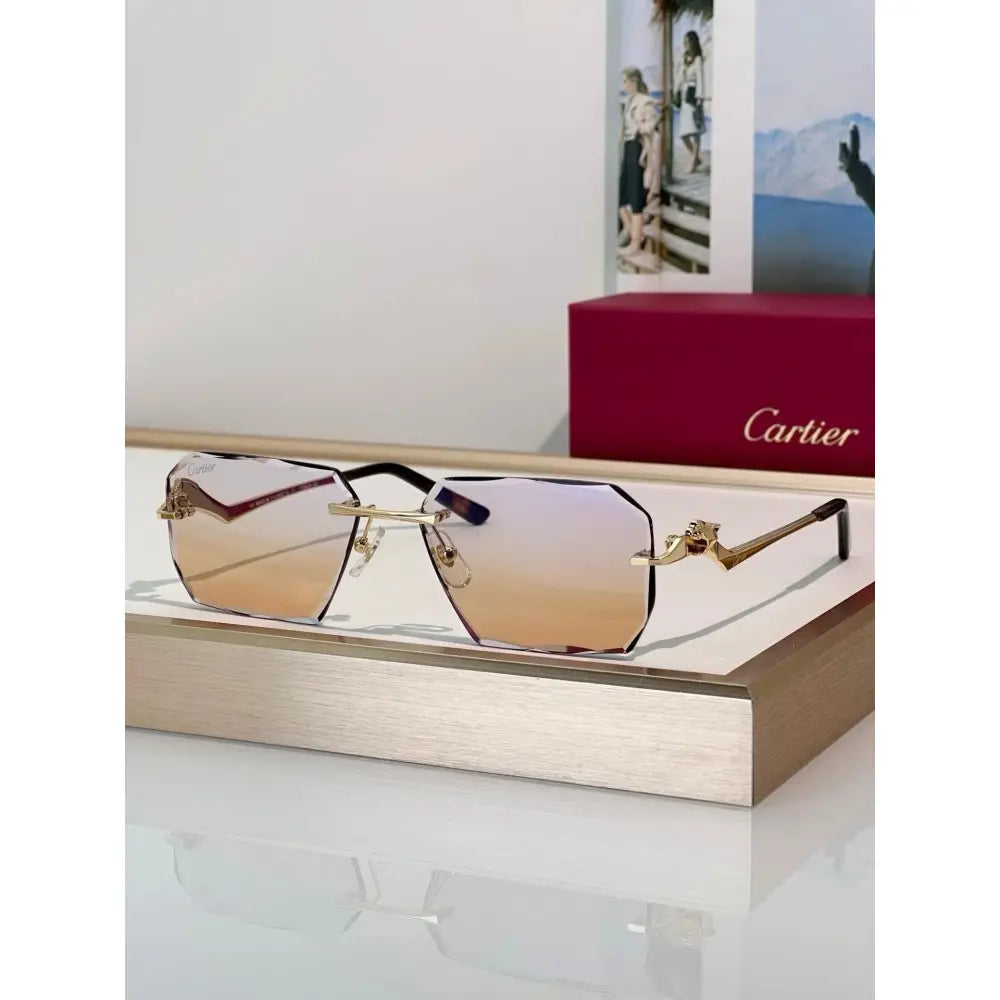 Cartier CLASSIC C DE  Motif Photochromic - Panthere CT0850 Sunglasses 🐆