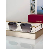 Cartier CLASSIC C DE  Motif Photochromic - Panthere CT0850 Sunglasses 🐆