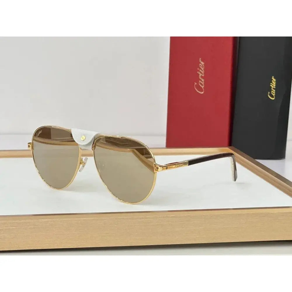 Cartier CT0096S 2024 Men's Sunglasses ✨