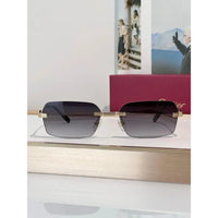 Cartier CT0271 S Unisex Sunglasses 🐆 - NEW $1600 retail price