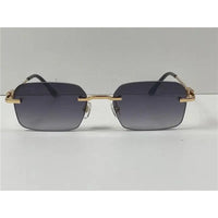 CARTIER  CT0290  Gold-Silver Men's Sunglasses 👑