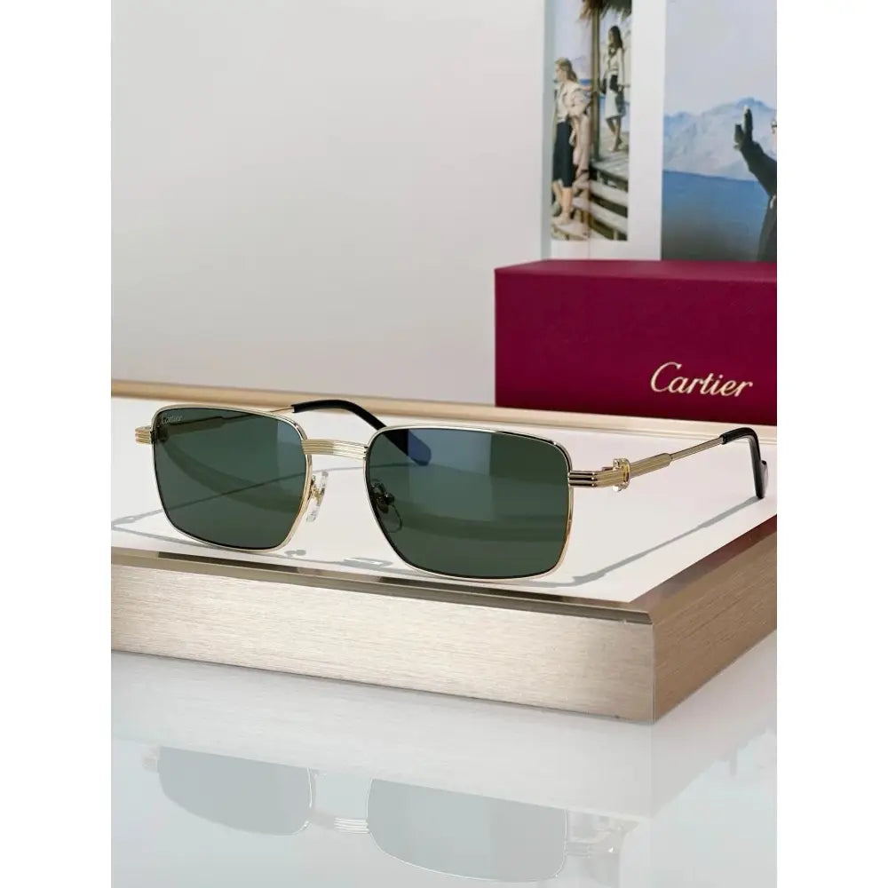 Cartier CT0314 001 Sunglasses 🐆