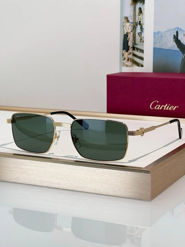 Cartier CT0314 001 Sunglasses 🐆