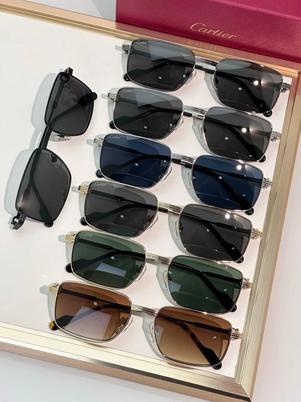 Cartier CT0314 001 Sunglasses 🐆