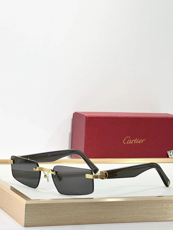 Cartier CT0537S 001 Sunglasses 🐆