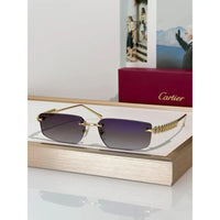 Cartier CT0544S 002 Gold Grey Rectangular Photochromic Unisex Sunglasses 🐆