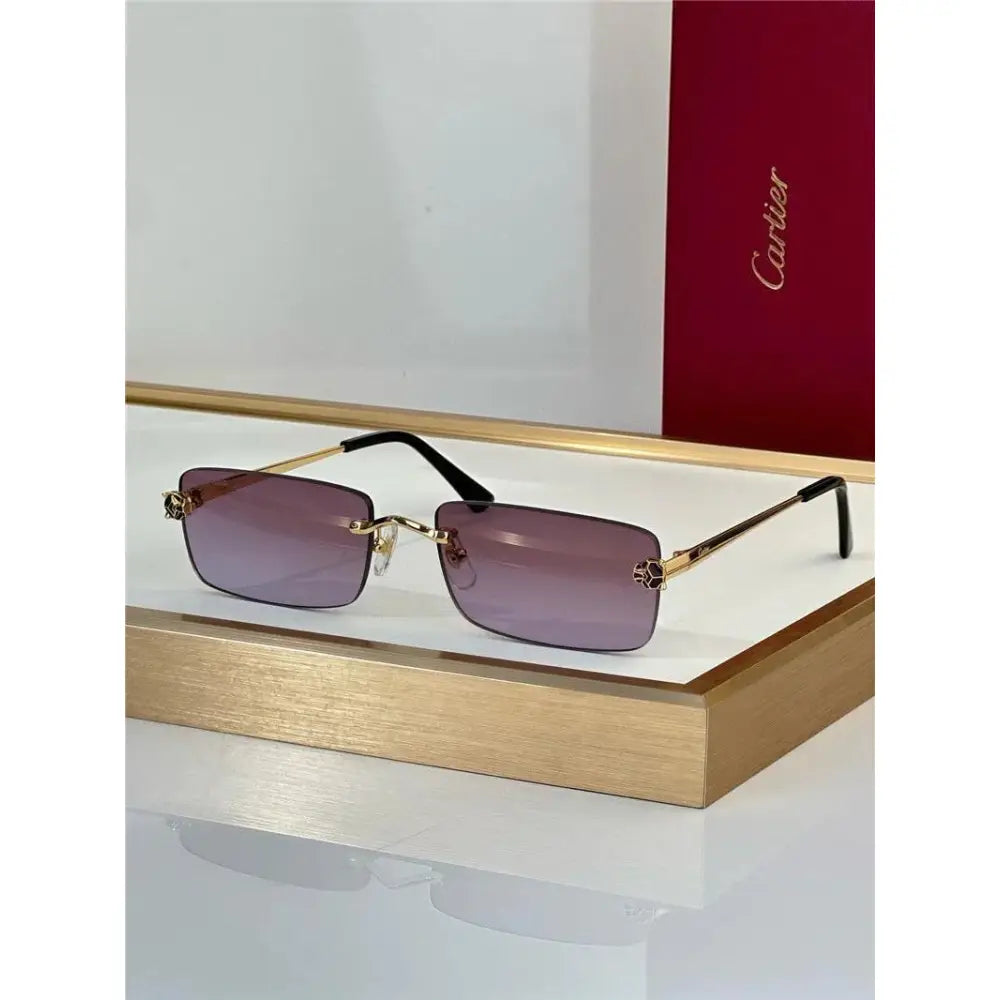 '- Cartier CT0598S 001 Première de Cartier Rectangle Shape Sunglasses NEW 🐆