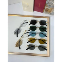 Cartier CT0616S Sunglasses&Photochromic Glasses 🐆